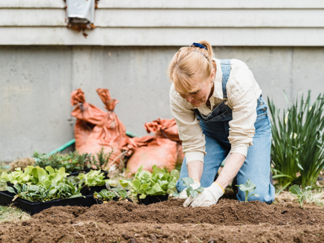 Gardening